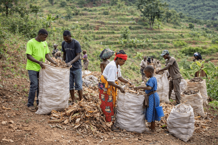 Agricultural waste collection